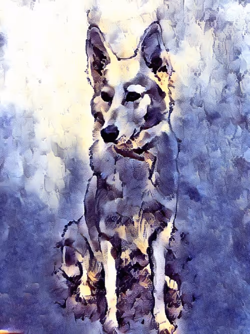 Item #7985207173570924390111817259004423205368879158414357765979214846094154399745 Media