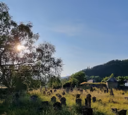 Sunshine on the forgotten
