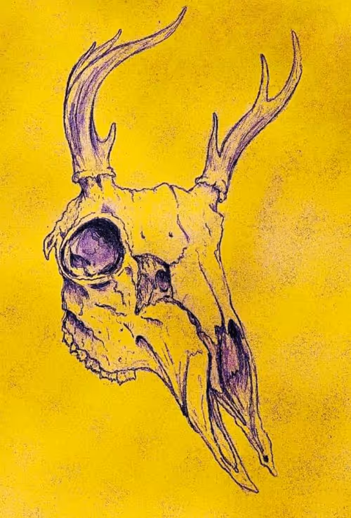 Item #58464231899672554220977429482409761262837585671771119037668409120106508976129 Media