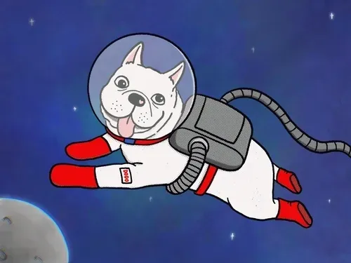 Dodo Space Doggo