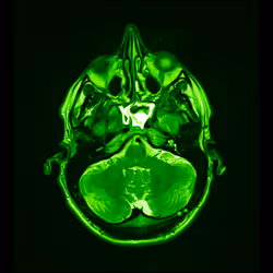 64162533542198579898252916190583583845604629893829087458582975903022668840961