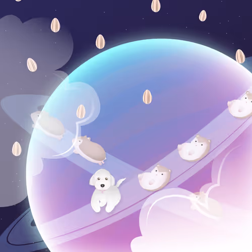 Journey With Choco