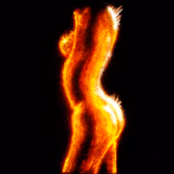 Feu Delicat #3