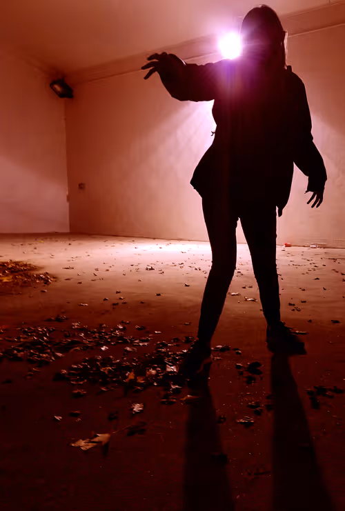 Item #90521258076557778699200481217094878985775921585084658279791808974776736677889 Media