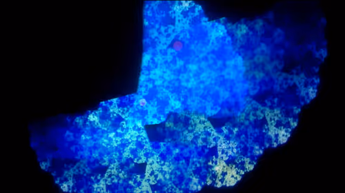 Item #67457553150443021914092587022250176347061355639032054621716075728769212481537 Media