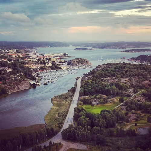 Untitled Collection #9965309