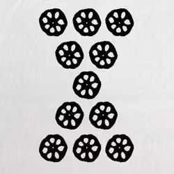 numbers of the lotus: eleven