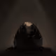 nulled432164235