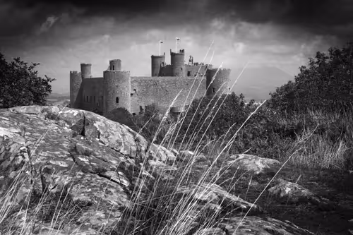 Item #40160686583094733528677484039903516258611509642019211679321071314333677387777 Media