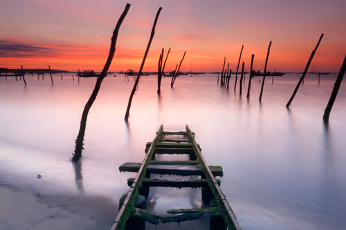 Item #33913556043655992485094381743340351336212161347103993477257409422565899763713 Media