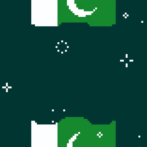 Pakistan Flag 14th August Special - Independence Day