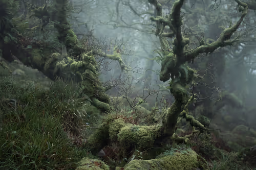 Item #72639390708267126639436568569652760193401123475841185469851730319225934315521 Media