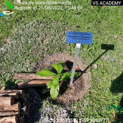 Item #8500196597889277390194123329501889087166328879864934763448348768740732567553 Media