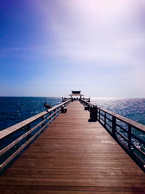 Item #85194694313482311992552065383091349733229460472009518407910609782723965878273 Media