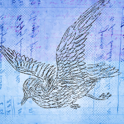 Item #12520096913277121545232673772747947087596815365110293900319642891902859083777 Media