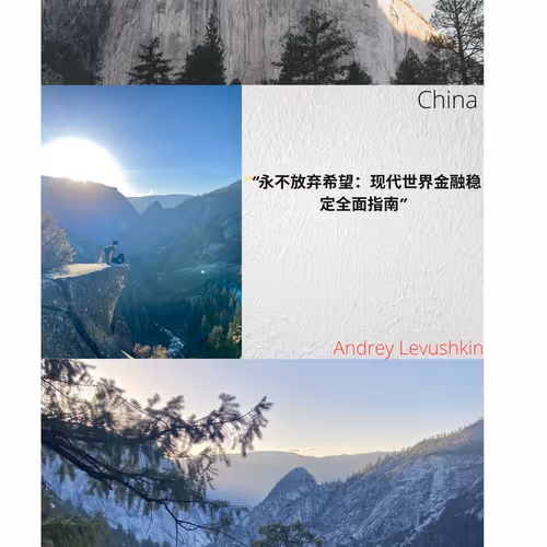 “永不放弃希望：现代世界金融稳定全面指南” 
