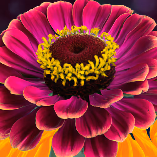 Item #71646257518770613568983710813551014237803002136866425209291834217609098690561 Media