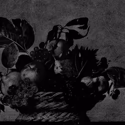 CANESTRO DI FRUTTA 5/5