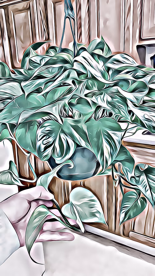 Item #101057092378302225736757120765437198261046760691228806068408150002367664750593 Media