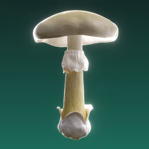 Item #95653877050150474555742155054455970472164202465768371638498214023962625572865 Media