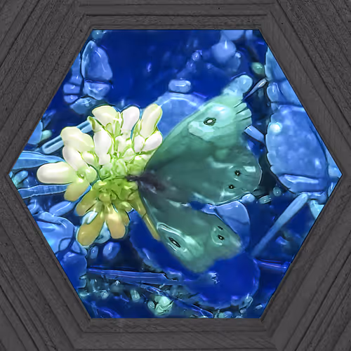 Item #19115886294448247408636390479007434719599239311134408839063466964621581090817 Media