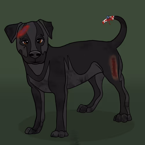 Item #18929025953091685879740265421444029621973902778044225700407145469302169141249 Media