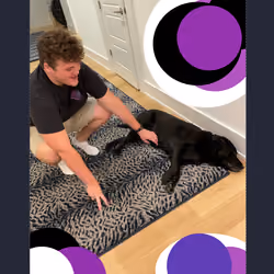 #23271623752985210812270247056450011642509694057443135274253843727709500342273