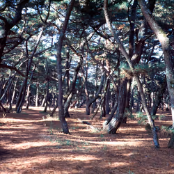 71165997854143450093372358757960361854753460918996014251035868664144607576065