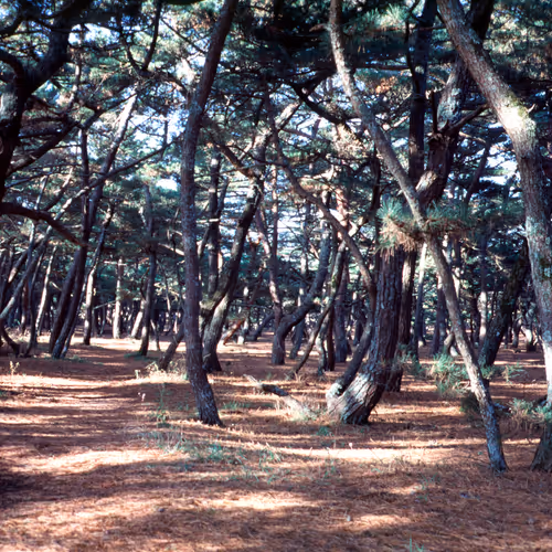 71165997854143450093372358757960361854753460918996014251035868664144607576065