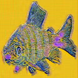 It's my Goldfish! Y_FISH05