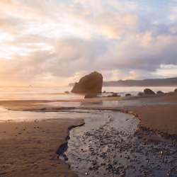 Golden Coast