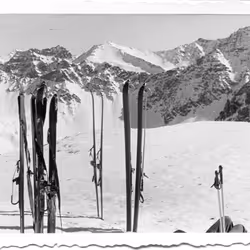 15134709310911277842728697403753673439210482131750318059492546322243336011777