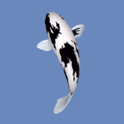 85890538515849146191794191908996501016024634704301377485849142892875669831681