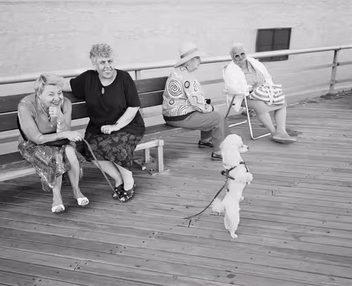 Item #115410997171317155764443988652644107409655118750289847059354162931865569198081 Media