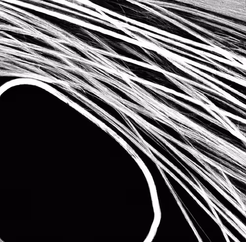 Item #88763135521498867353824307114170198132920428831857895945443947579368405991425 Media