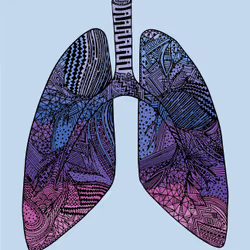 28824502245252267217549902857601847351510039266873569823091148462495086149633