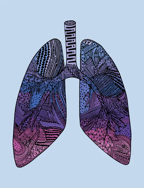 Item #28824502245252267217549902857601847351510039266873569823091148462495086149633 Media