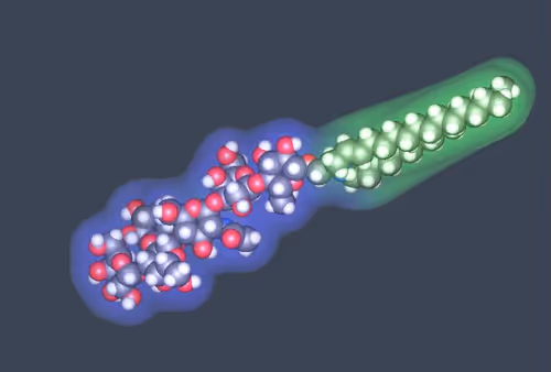 Item #70691296673147545588645983106347604860014430771481084920996057707168575520769 Media