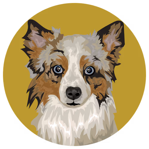 Item #54766349128176429303044182404049584425310907481653304317570413919937216118785 Media