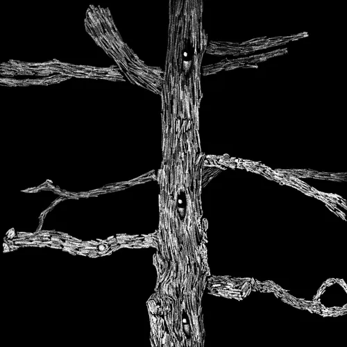 Item #77614511146470264358960422071308590595865824285225743465306556834577572167681 Media