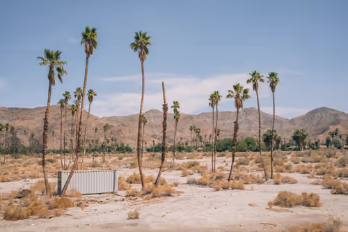 Item #35557780727049604459658880725917592814256363748111026780455796851962103726081 Media