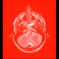 64162533542198579898252916190583583845604629893829087458582975855743668846593