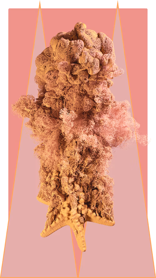 Item #29451070121800443917315034331403735951435767777084923266855147595145662169089 Media