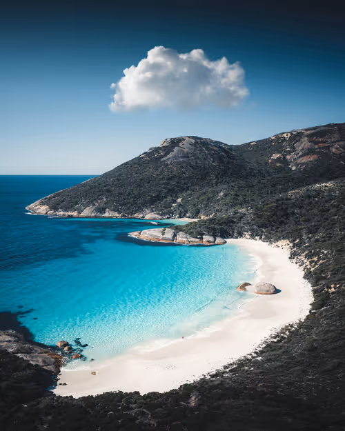 Item #83054766924673444604816267722836446190314772138657067753201581503519356092417 Media