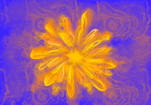 Item #64515795529198953580537894764101498903184970537215321722121713786069689827329 Media