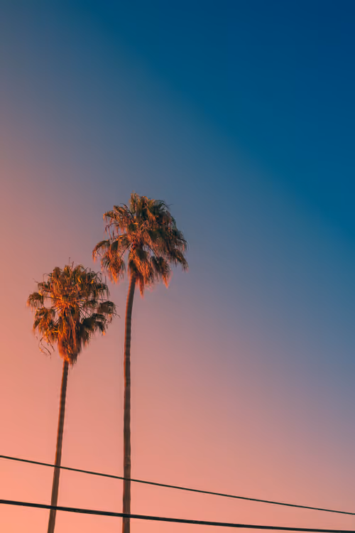 Item #35557780727049604459658880725917592814256363748111026780455796850862592098305 Media