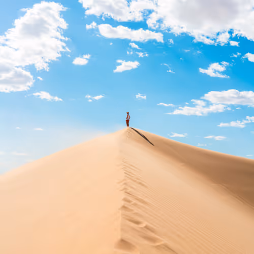 The Dune