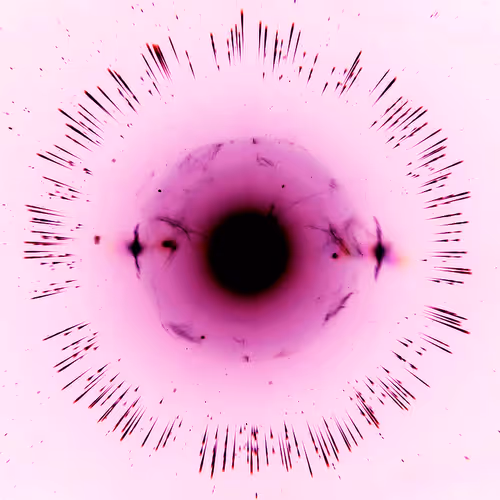 Item #89545523573573696391355467598088977227038667358799795896235809303211217518602 Media