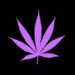 WEED #17