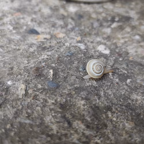 Untitled Collection #11498639